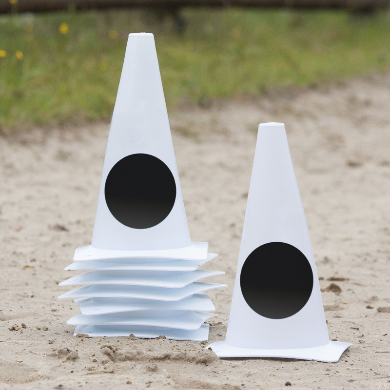 Birilli di Riferimento