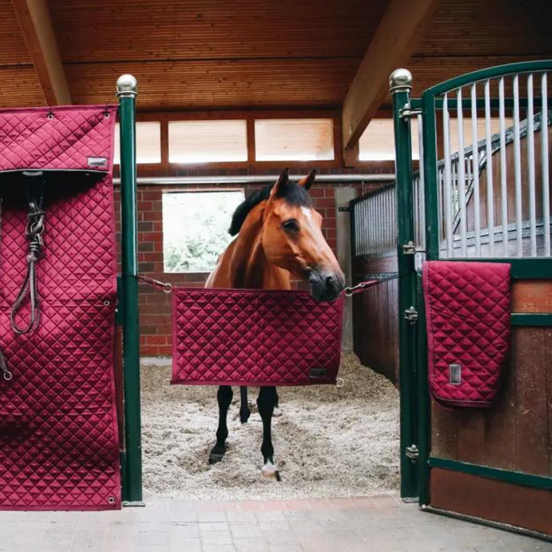 Cancelletto da Box Stable Guard