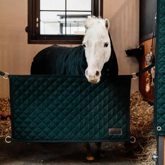Cancelletto da Box Stable Guard