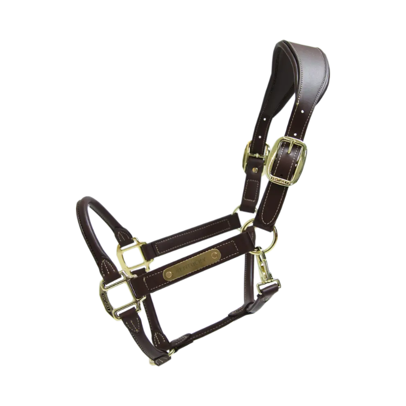 Capezza Anatomic