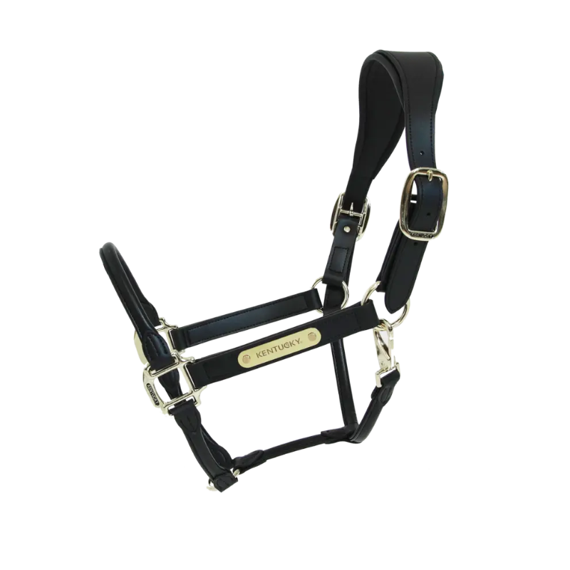 Capezza Anatomic