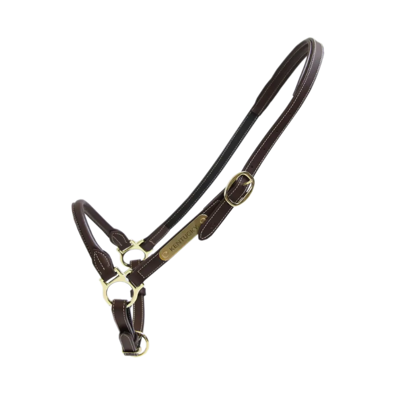 Capezza Leather Grooming