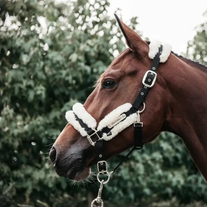 Capezza Nylon Sheepskin