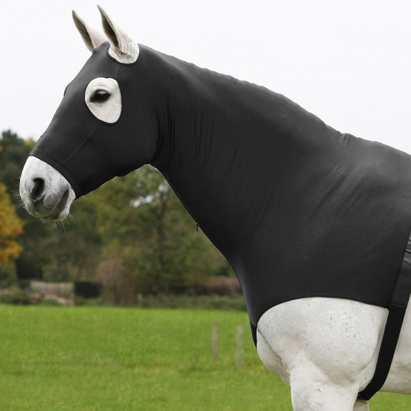 Canotta Comfort Combintion Hood