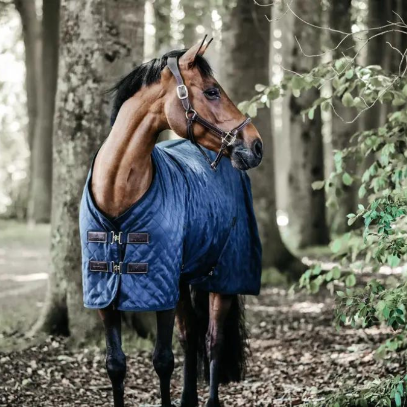 Coperta Primaverile Stable Rug, 0g