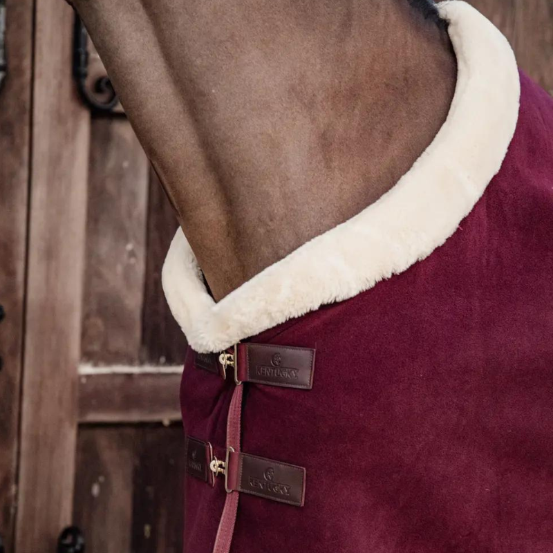 Coperta Show Rug Heavy, Fleece