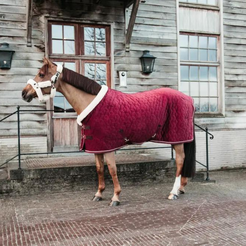 Coperta Show Rug, Velvet, 160g