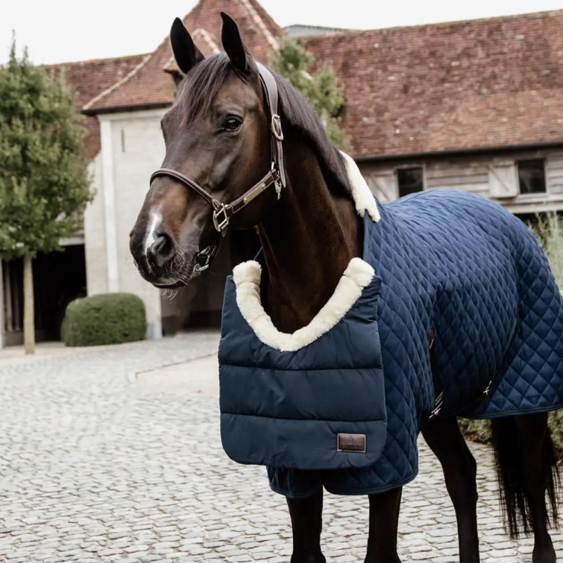 Horse BIB Winter