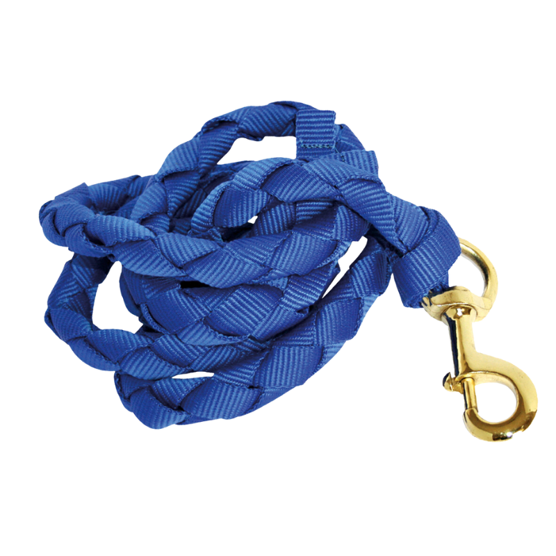 Lunghina Intrecciata con Moschettone Grande Ottonato