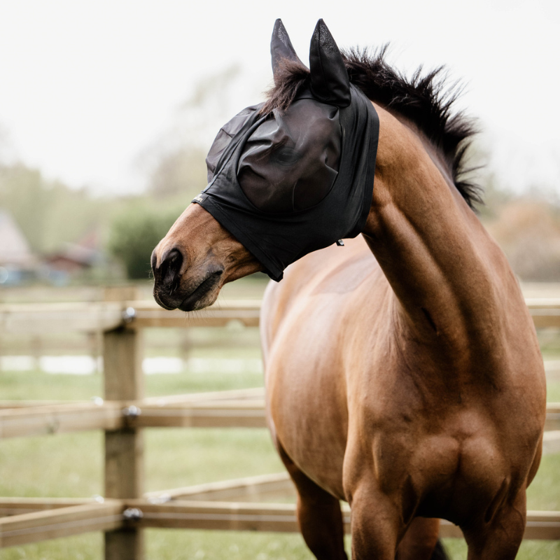 Maschera Antimosche, Fly Mask, Slim Fit