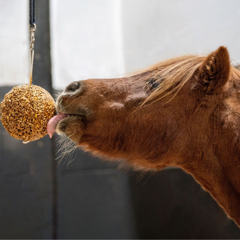 Stall Ball - Palla di Cereali Anti-Stress, 1,6kg