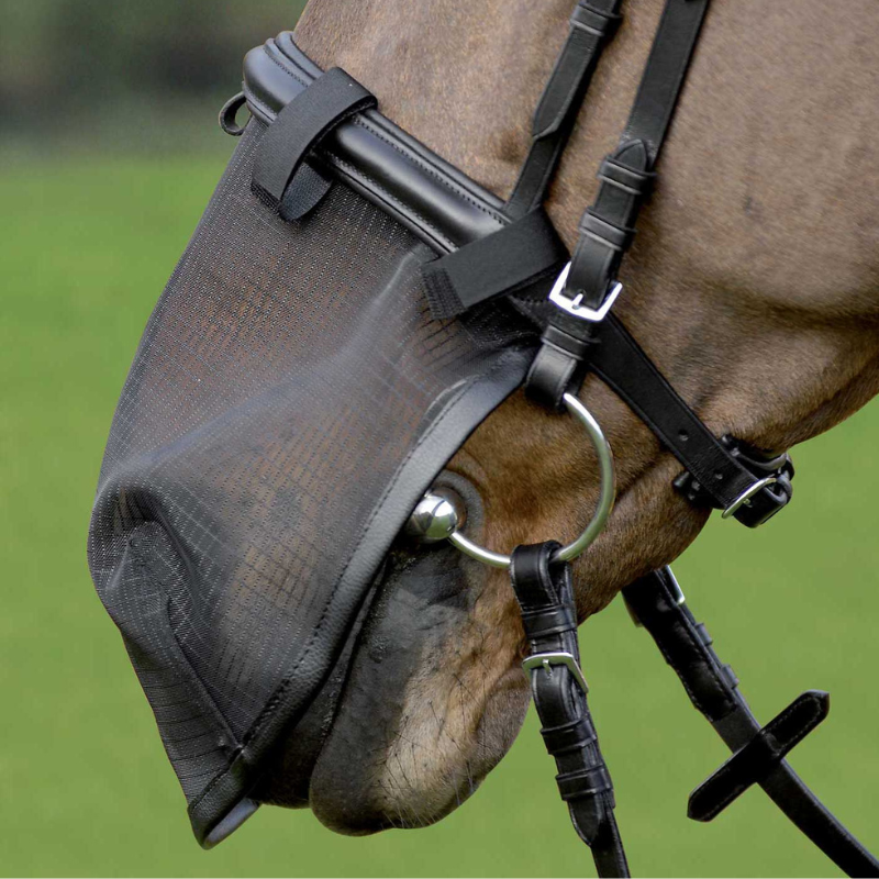 Retina per il Naso, con Anti-UV