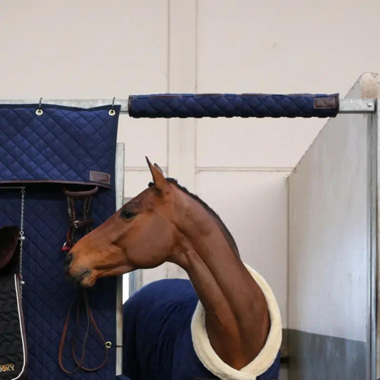 Protezione per Testa, da Box