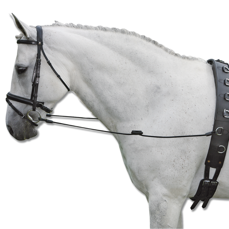 Redini Fisse Elastic