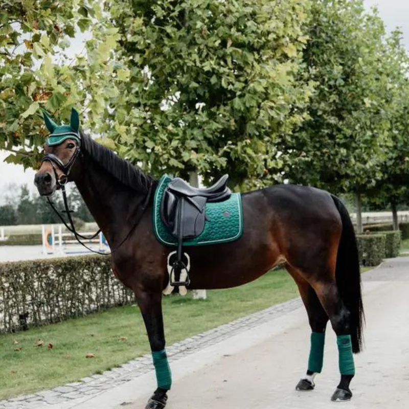 Sottosella Velvet, Color Edition, Dressage