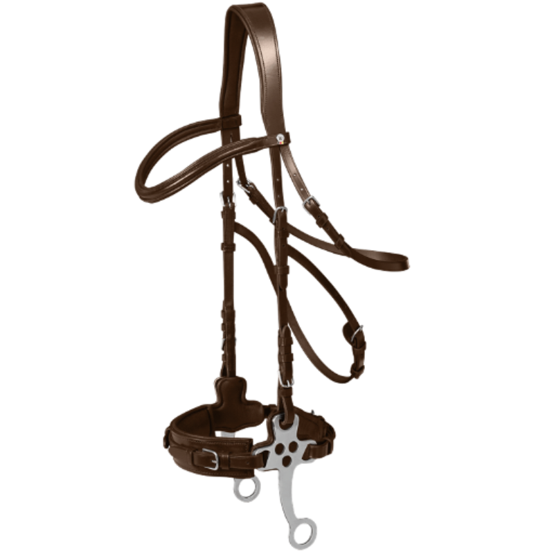 Testiera X-Line Hackamore