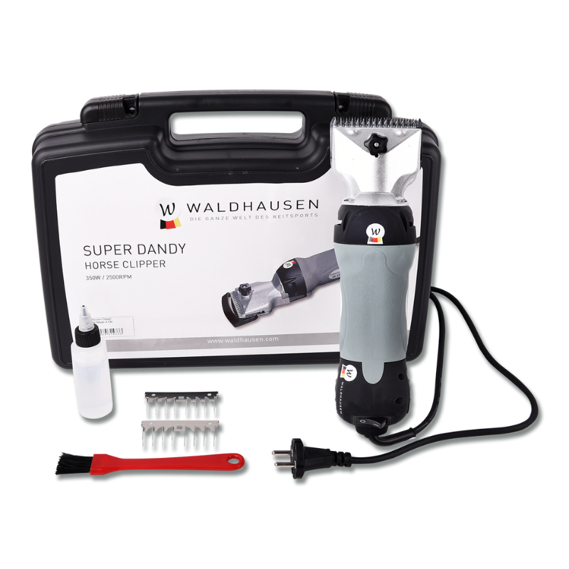 Tosatrice Waldhausen