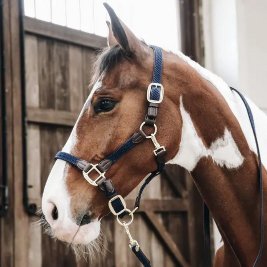 Lunghina Plaited Nylon Horse