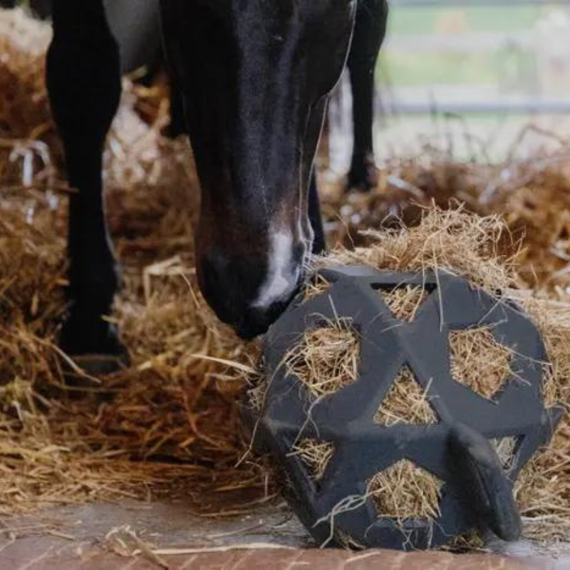 Palla da Box - Relax Horse Play & Hay Ball