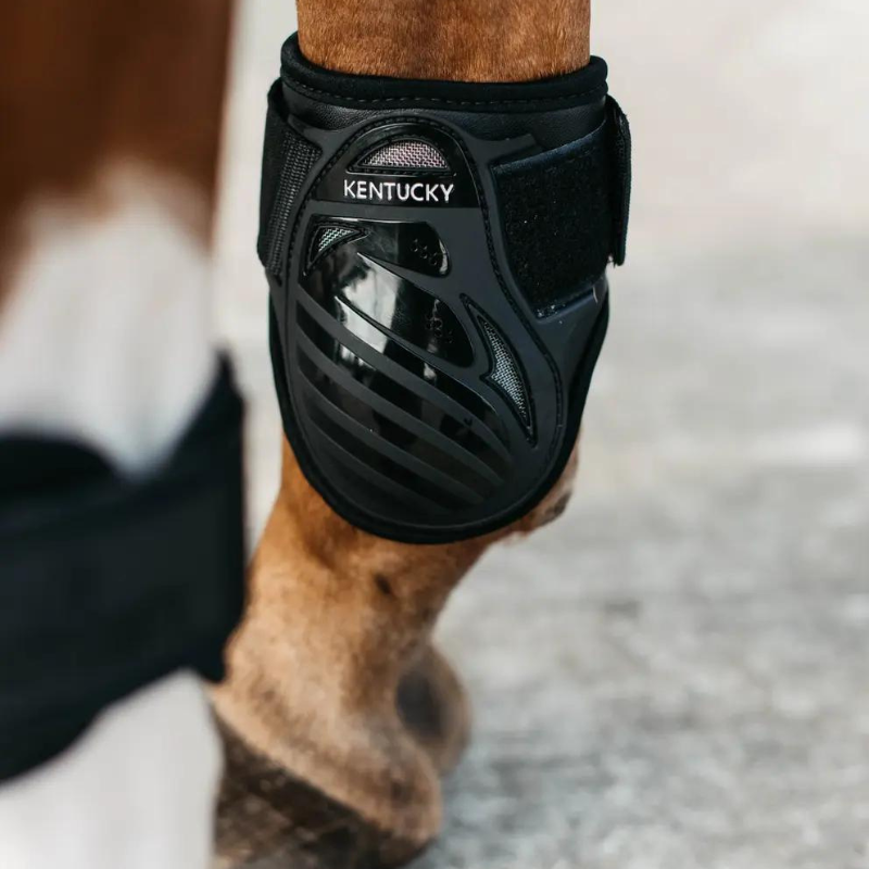 Paranocche Young Horse Fetlock Boots