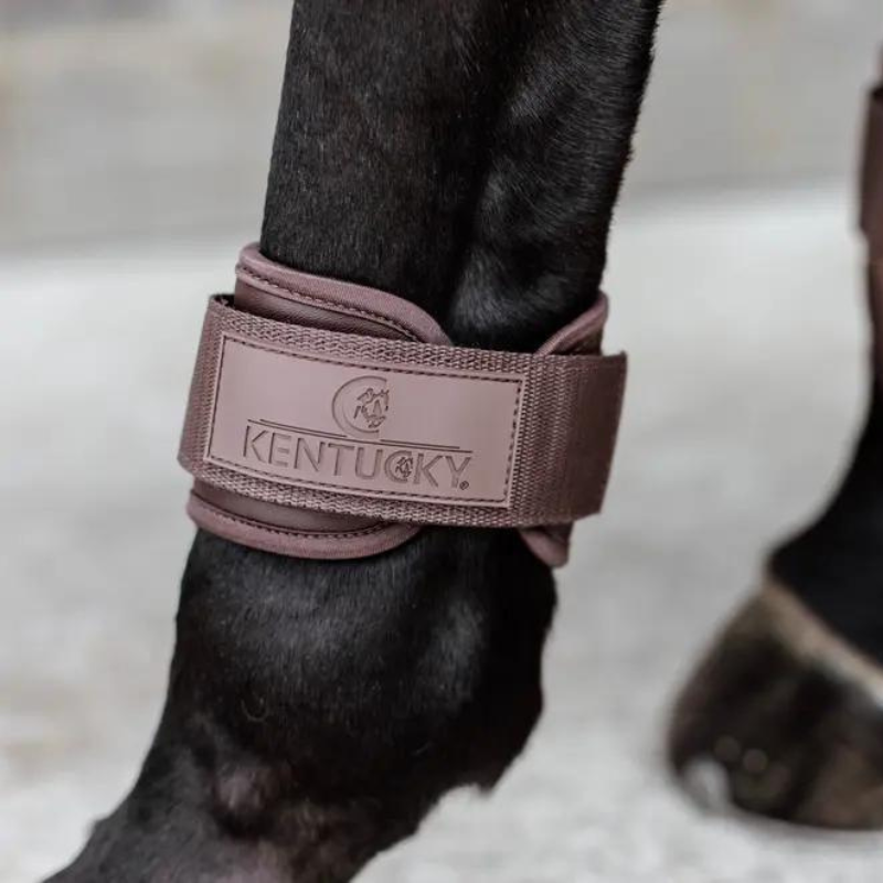 Paranocche Young Horse Fetlock Boots