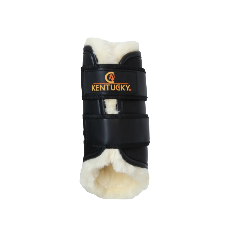 Parastinchi Brushing Boots Leather Front