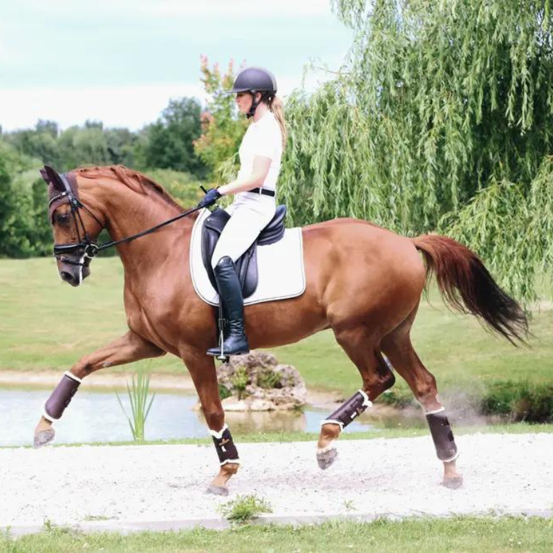 Parastinchi Brushing Boots Leather Hind