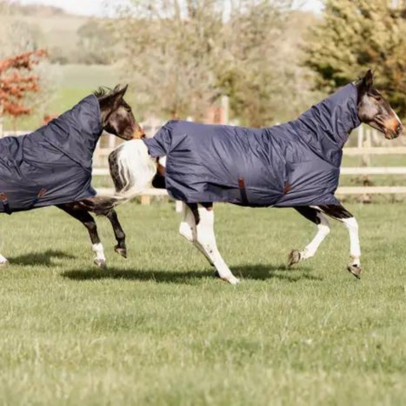 Coperta da Paddock con Collo Turnout Rug All Weather Quick Dry, 150g