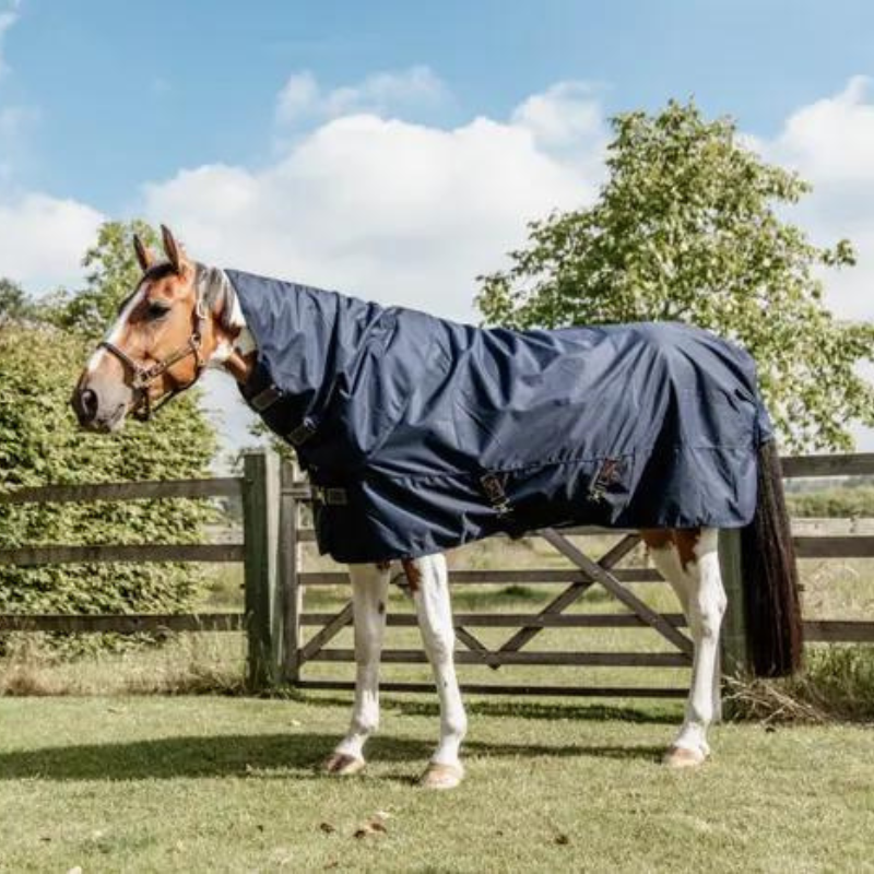 Coperta da Paddock con Collo Turnout Rug All Weather Quick Dry, 0g